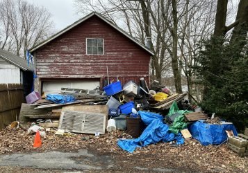 photo-1584786454449-ecc77738684c